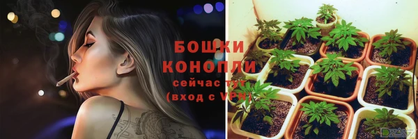 мет Инта