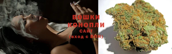 мдпв Каменногорск