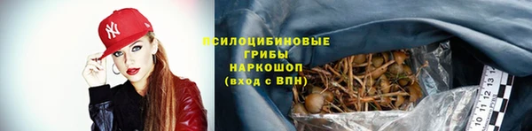 мдпв Каменногорск