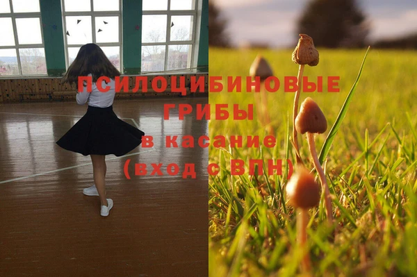 стафф Инсар