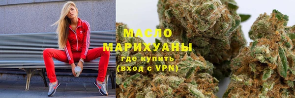 мет Инта