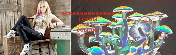 ешки Каменск-Шахтинский